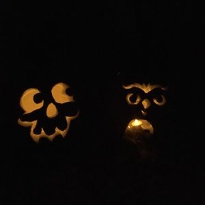 Meet your Posher, Bailey